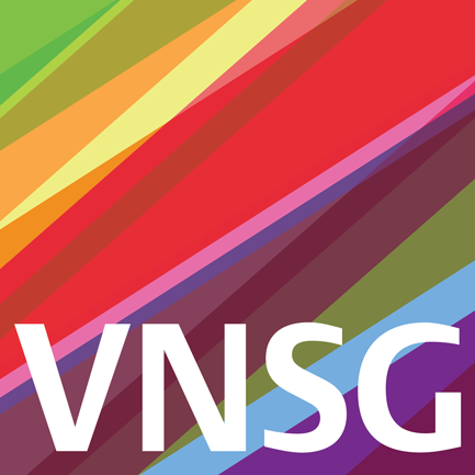 logo VNSG