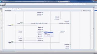 screen sap im information steward w385